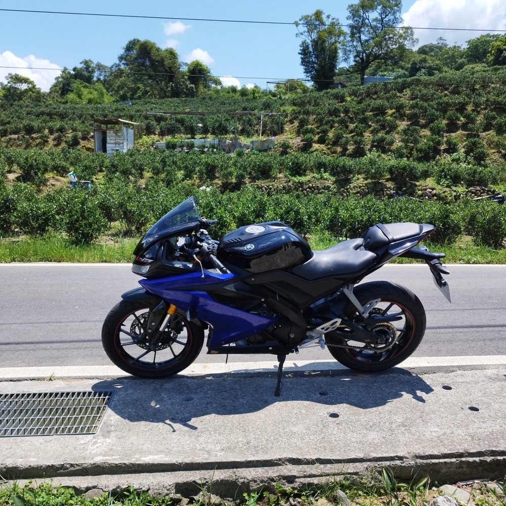 【2019 YAMAHA YZF-R15V3】