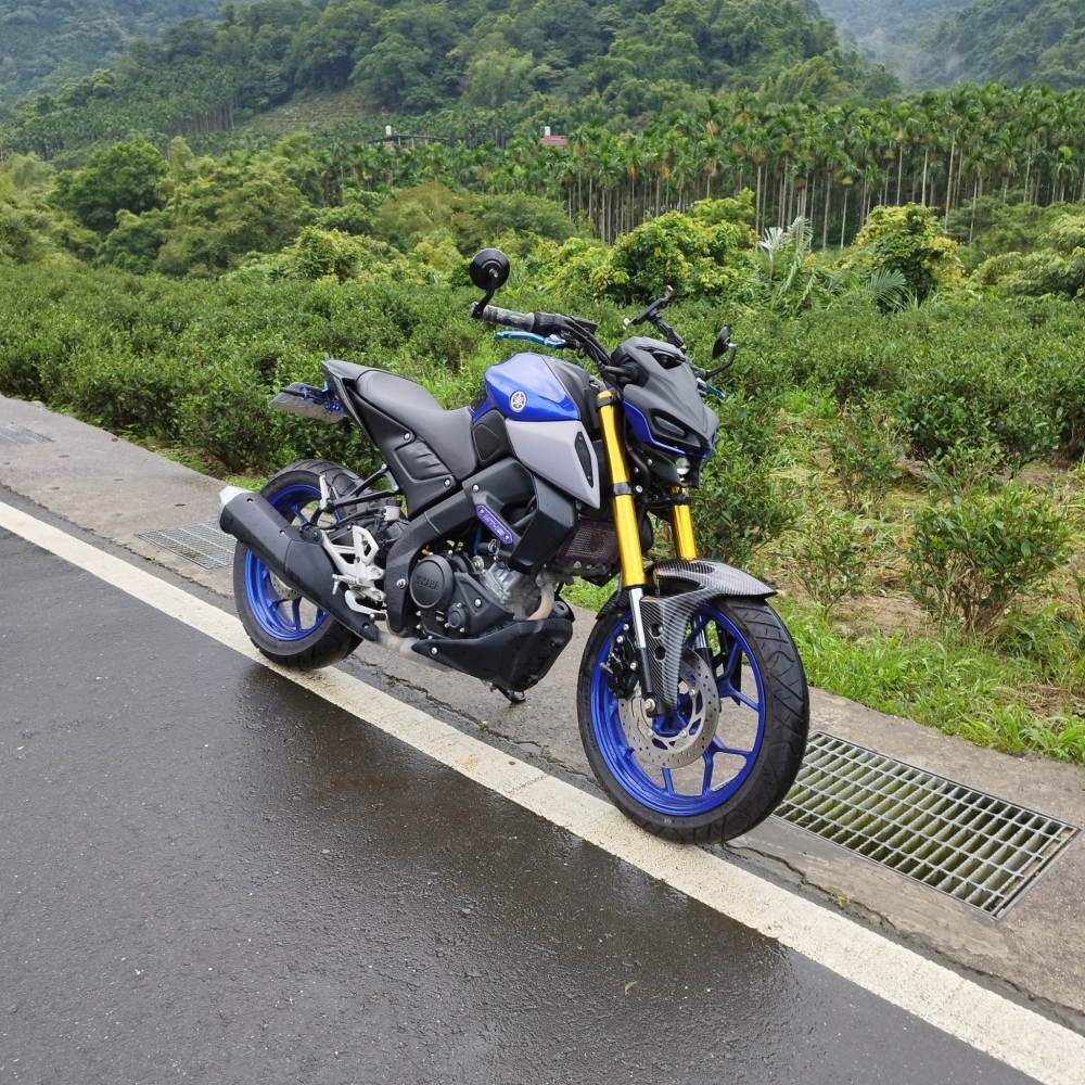 【2021 YAMAHA MT-15】